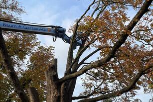 Offene Stelle im Team